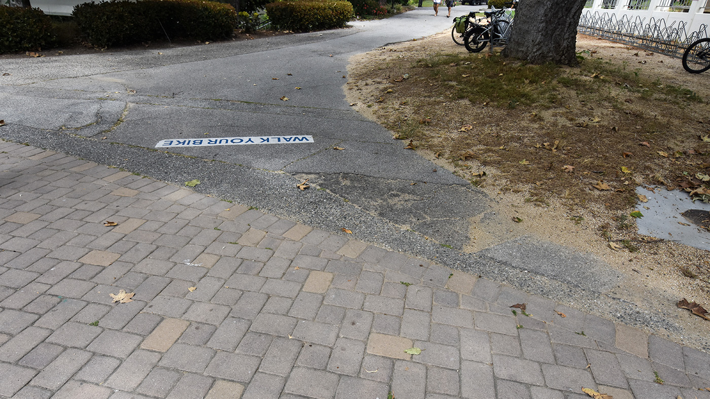 Campus walkway in need of additional care